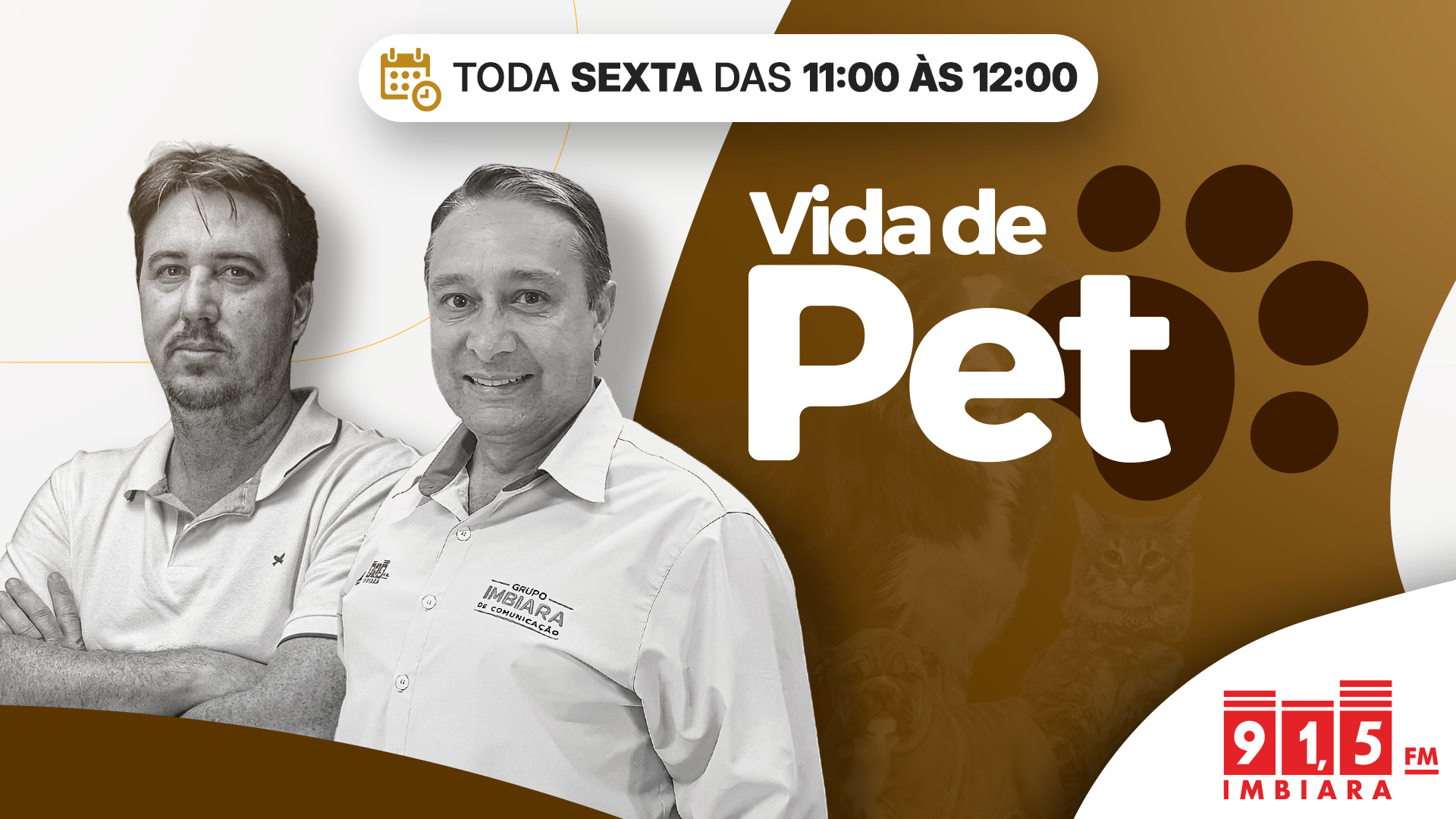 vida de pet