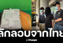 ไม่รอด! ฮ่องกงรวบชายญี่ปุ่นบินจากไทย ซุกกัญชา 22 กก. บุหรี่ไฟฟ้า เสี่ยงคุกตลอดชีวิต
